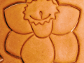 Narcissus Cookie cutter